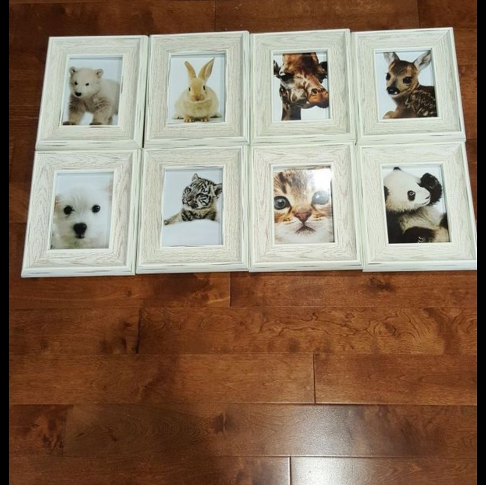 Frames